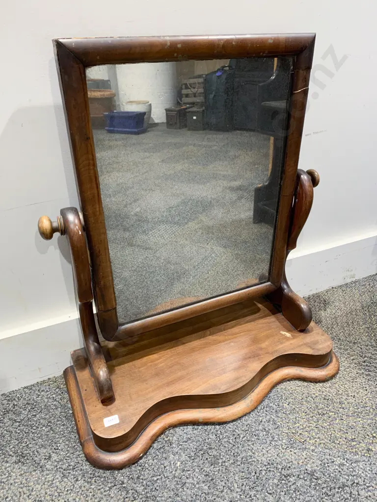 Vict Swing Toilet Mirror Image 1++