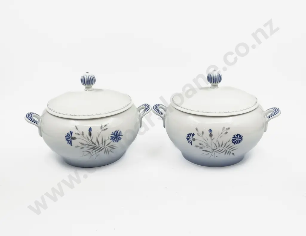BIng & Grondahl of Copenhagen Denmark Cornflower Pattern Dinner Set Image 1++