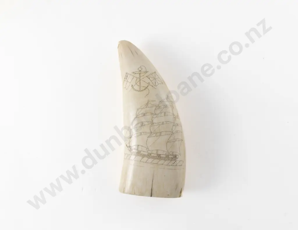 Sperm Whale Tooth With Scrimshaw 3 Masted Sailing Ship Image 1++