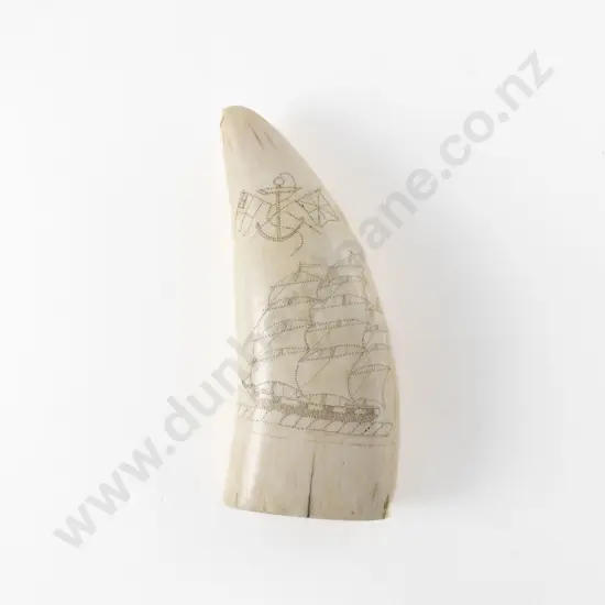 Sperm Whale Tooth With Scrimshaw 3 Masted Sailing Ship