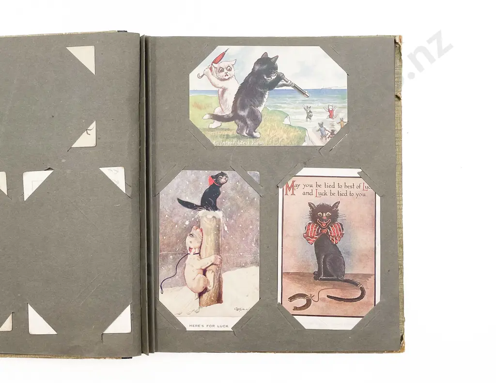 Two Edwardian Postcard Albums Image 1++