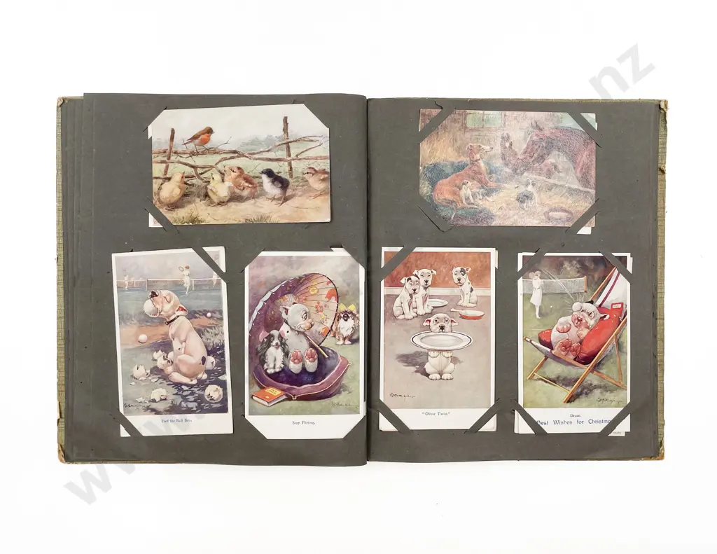 Two Edwardian Postcard Albums Image 1++