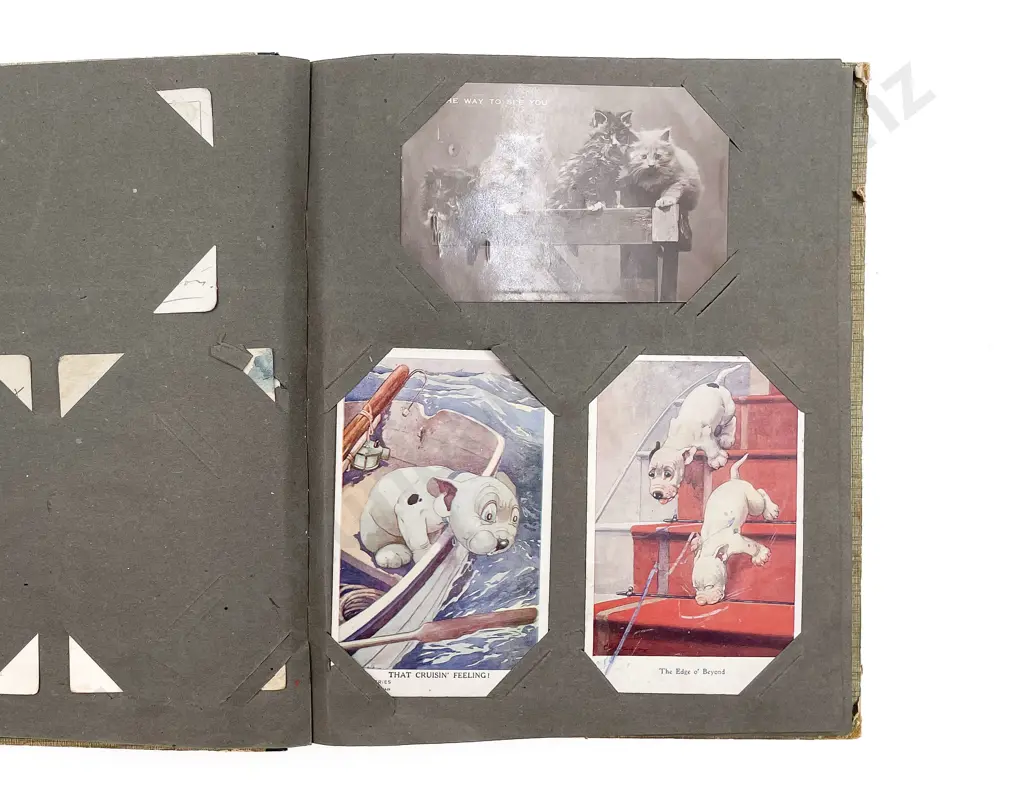 Two Edwardian Postcard Albums Image 1++