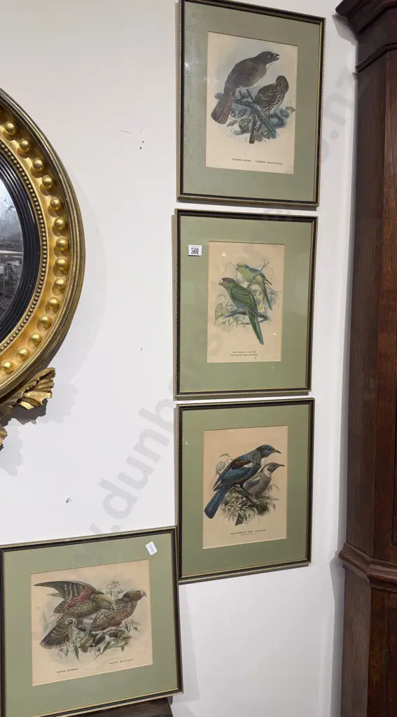 Set of Four Framed NZ Ornithological Polychrome Book Plates Image 1++