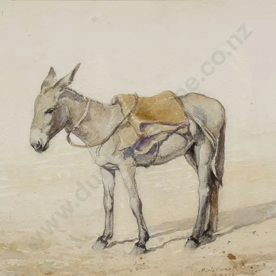 Richard Wallwork - A Study Of A Donkey