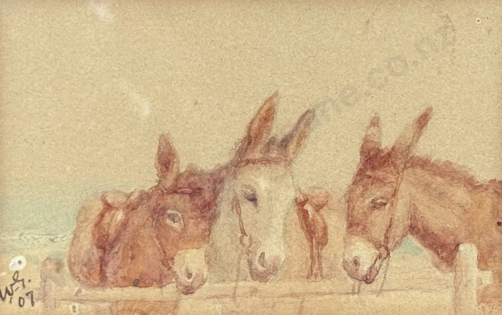 Unknown Artist - Study of Donkeys Image 1++