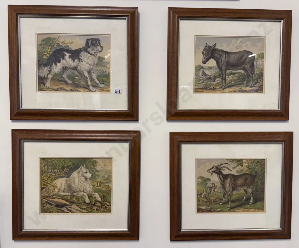 Set Four Late Victorian Animal Study Lithographs Image 1++