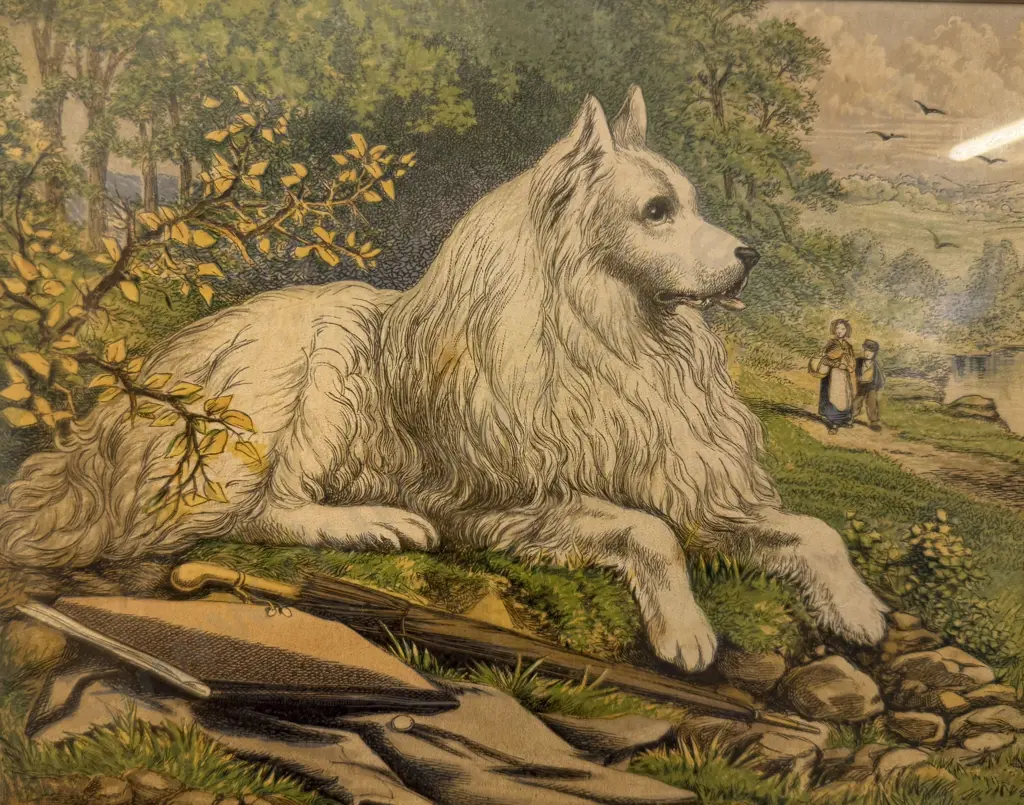 Set Four Late Victorian Animal Study Lithographs Image 1++