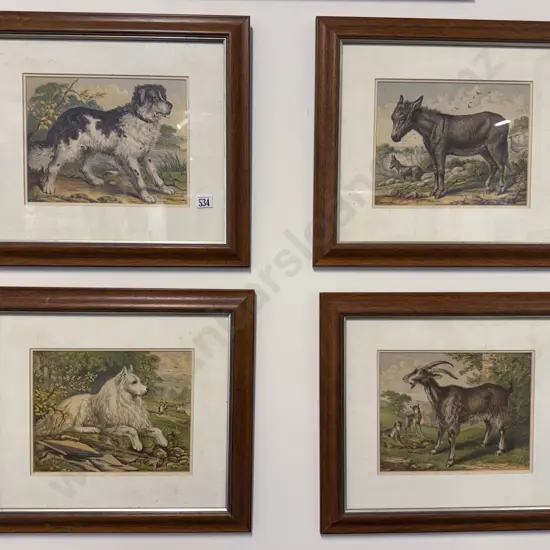 Set Four Late Victorian Animal Study Lithographs
