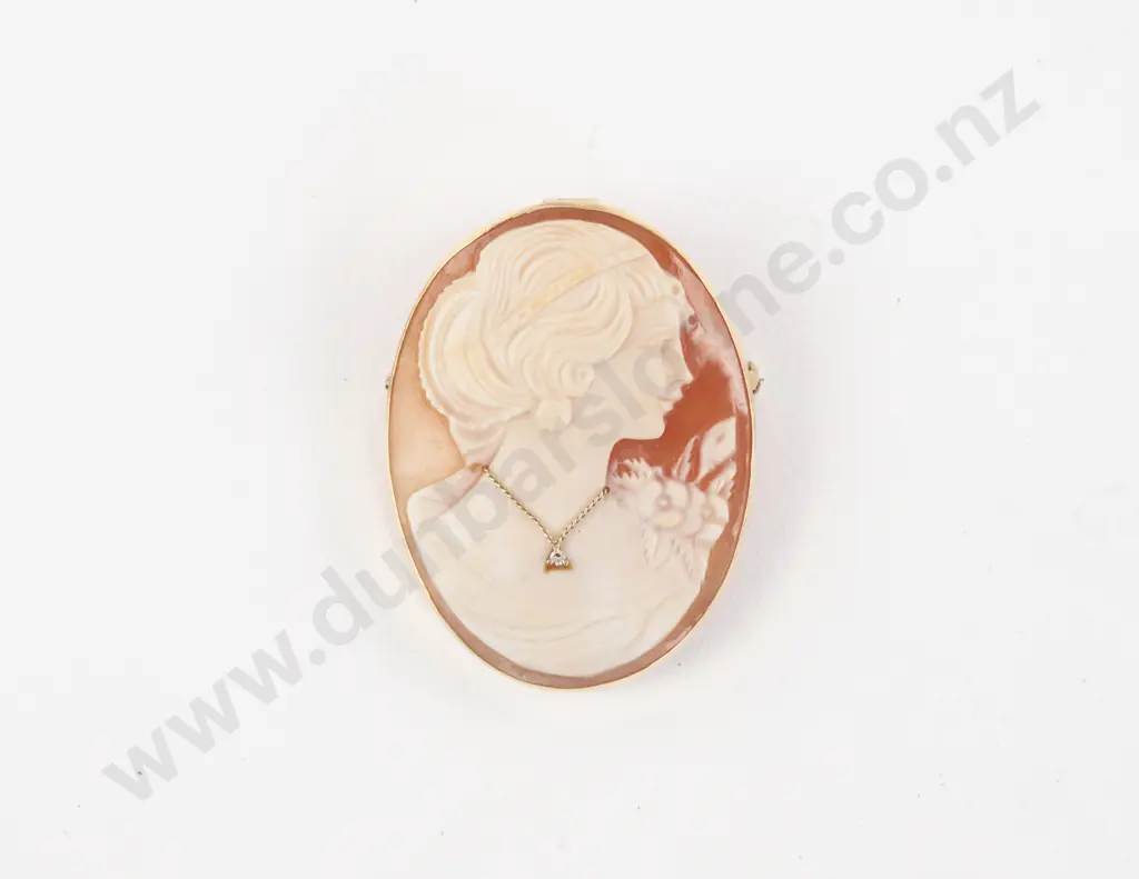 Victorian 14ct Framed Classical Portrait Cameo Brooch Image 1++