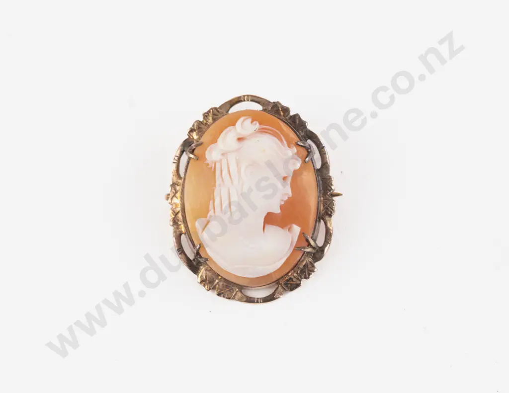 9ct Framed Classic Portrait Cameo Brooch Image 1++