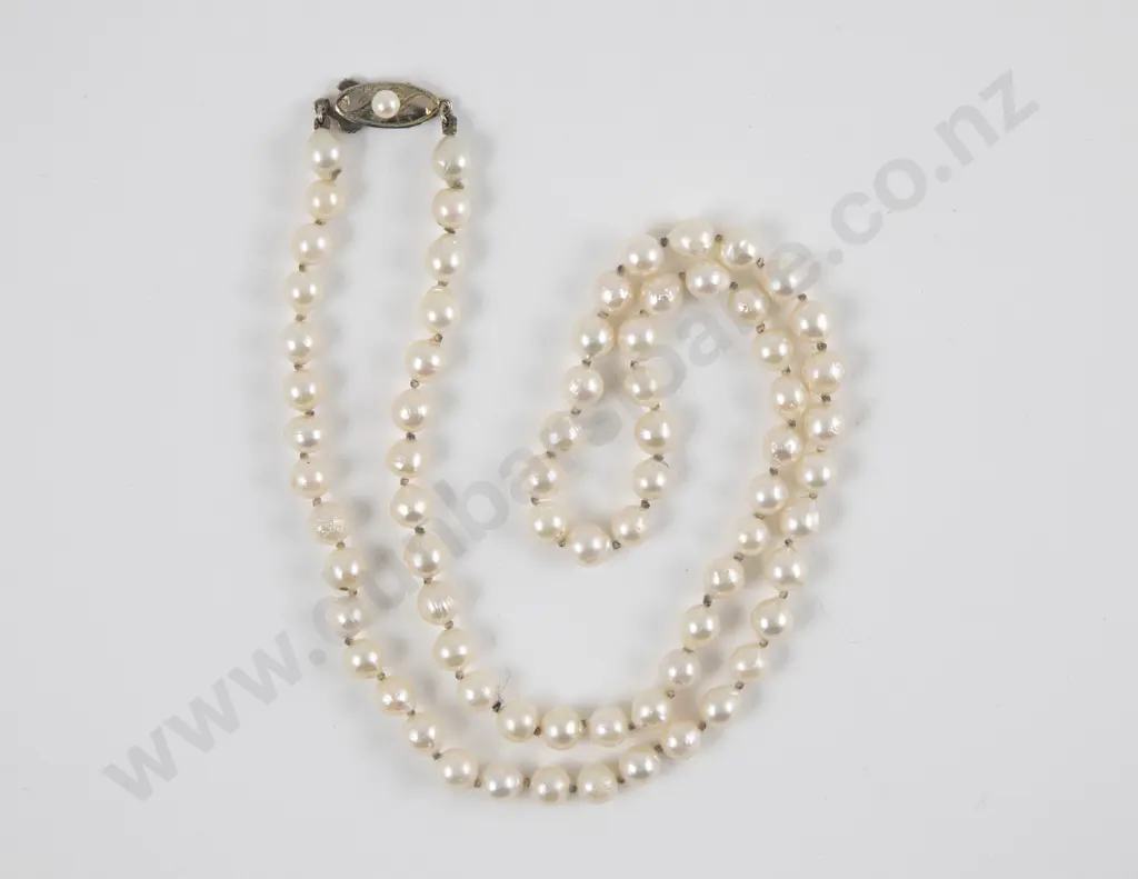 Single Strand Uniform Cultured Pearl Necklace Image 1++