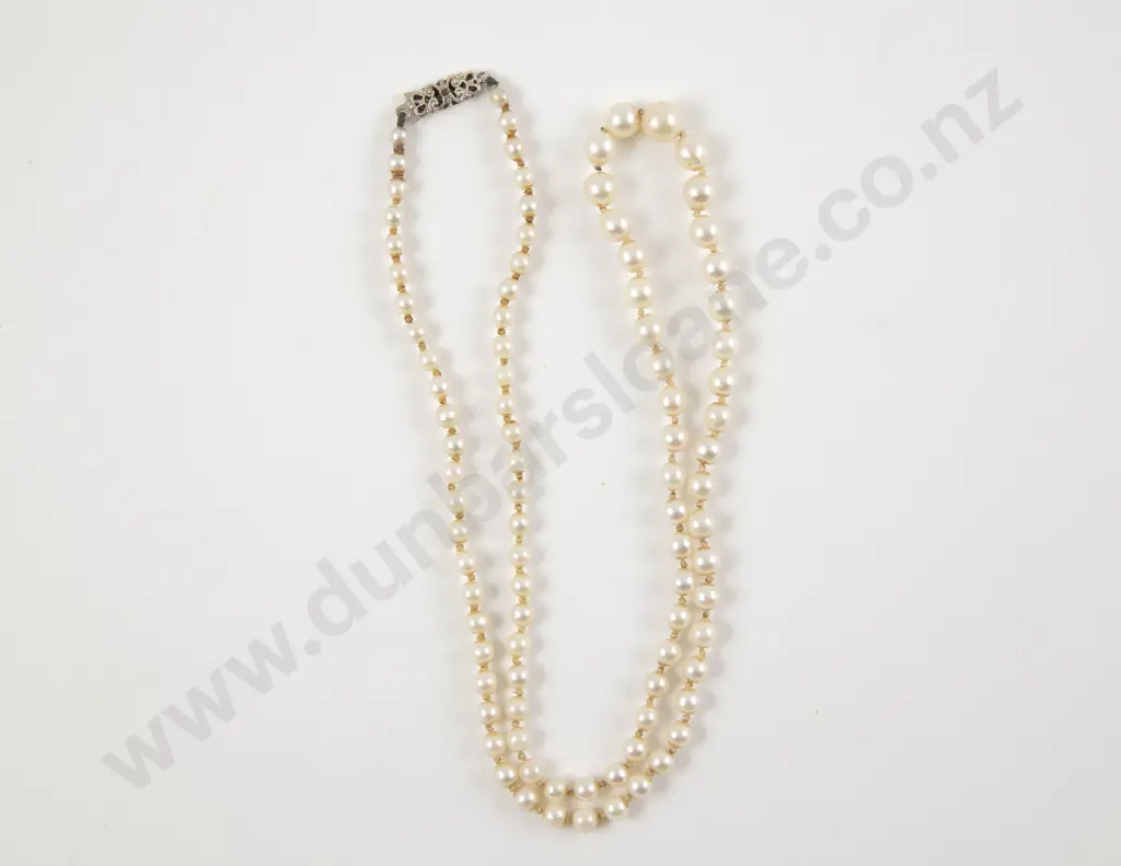 Single Strand Graduated Cultured Pearl Necklace Image 1++