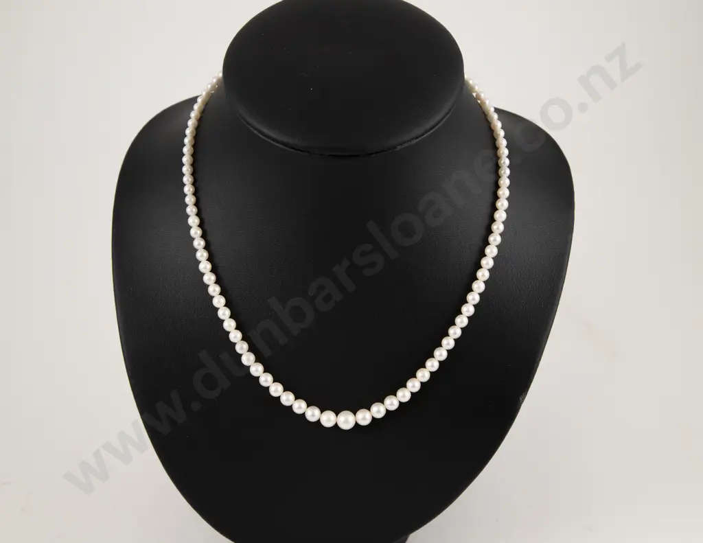 Single Strand Graduated Cultured Pearl Necklace Image 1++