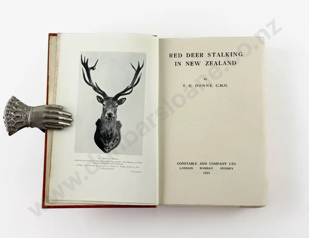 Donne T E - Red Deer Stalking In New Zealand Image 1++