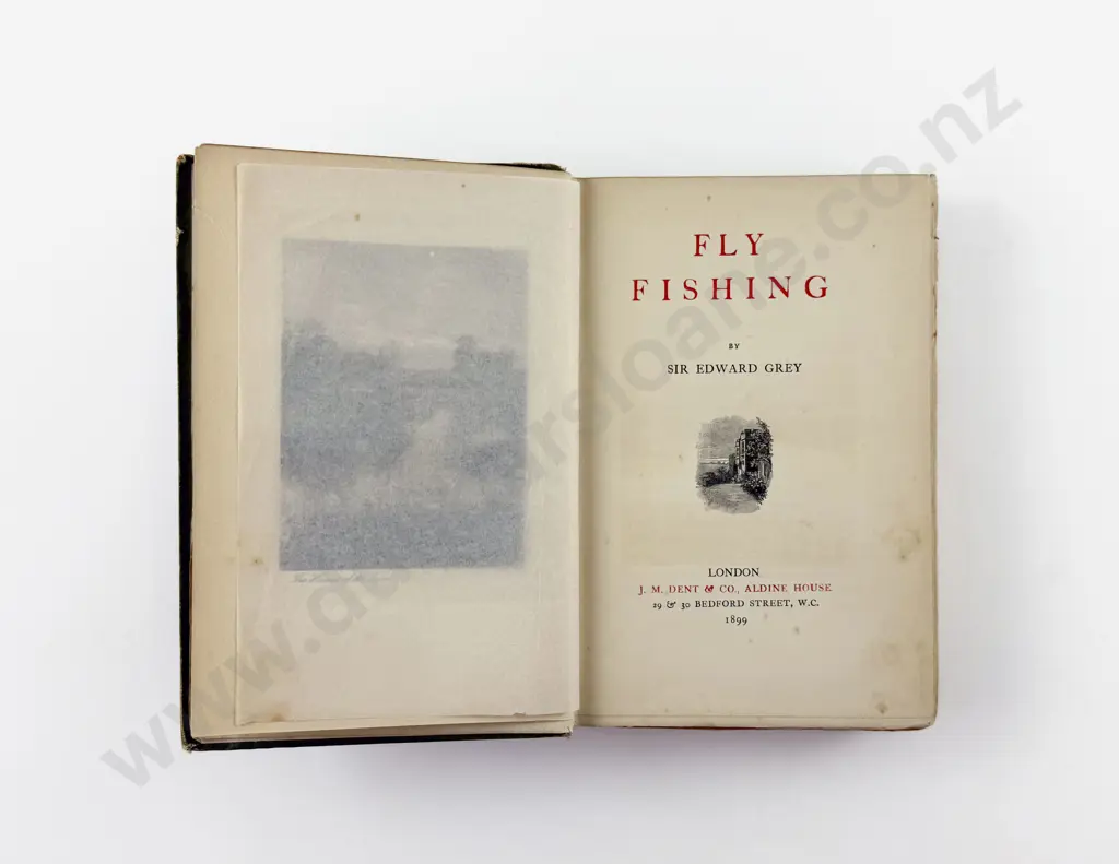 Grey Sir Edward - Fly Fishing Image 1++
