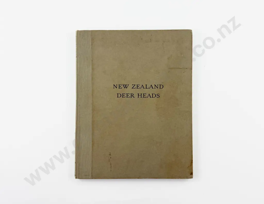 Forbes John - New Zealand Deer Heads Image 1++