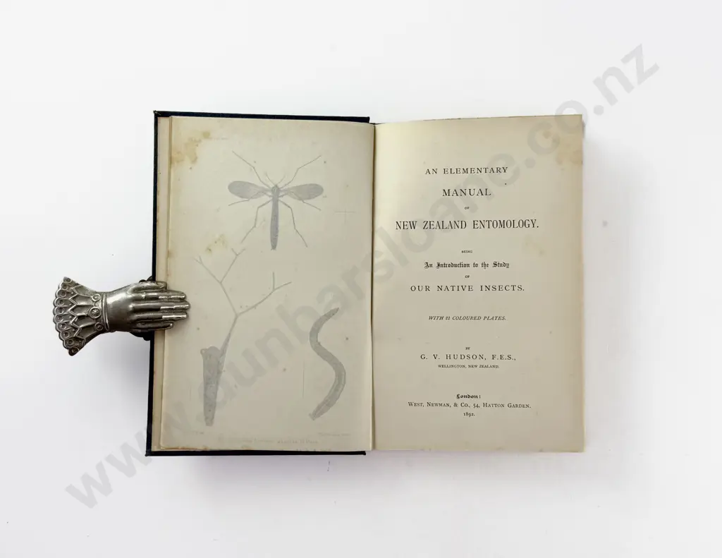 Hudson G V - An Elementary Manual of New Zealand Entomology Image 1++