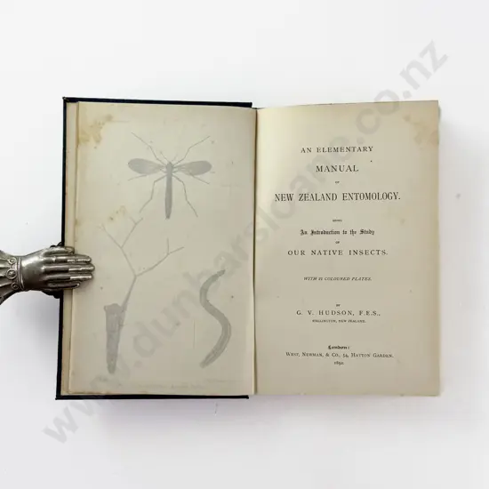 Hudson G V - An Elementary Manual of New Zealand Entomology