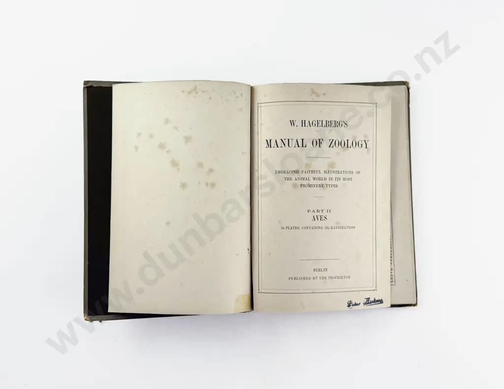 W Hagelberg's Manual Of Zoology Image 1++