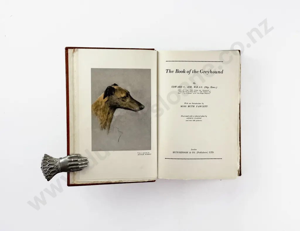 Ash Edward C - The Book of the Greyhound Image 1++