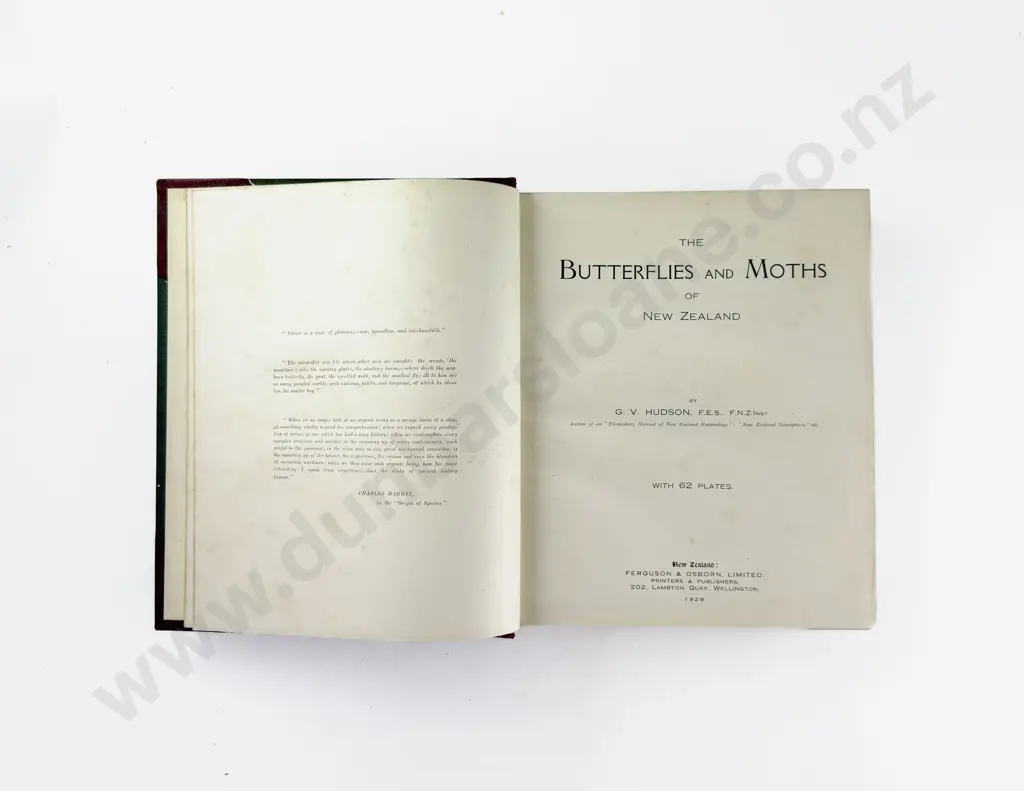 Hudson G V - The Butterflies and Moths of New Zealand Image 1++