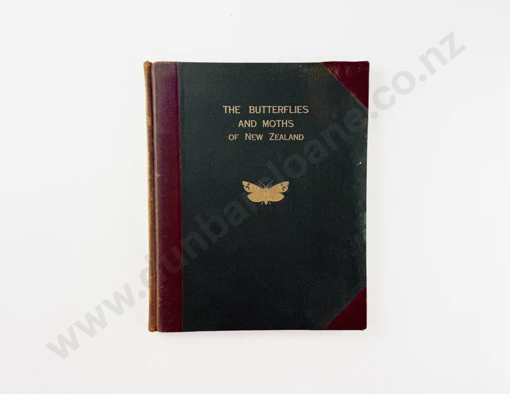 Hudson G V - A Supplement to the Butterflies and Moths of New Zealand Image 1++