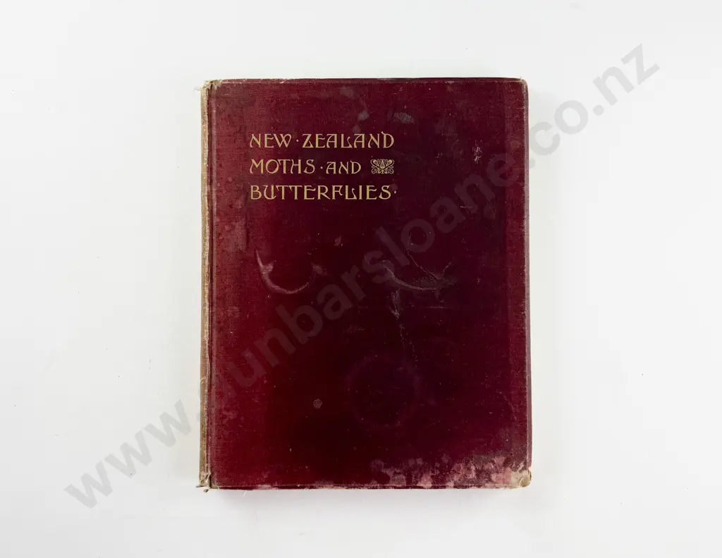Hudson G V - New Zealand Moths And Butterflies Image 1++