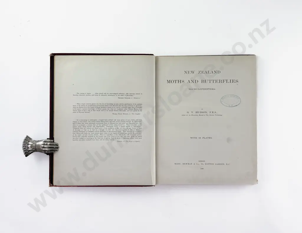 Hudson G V - New Zealand Moths And Butterflies Image 1++