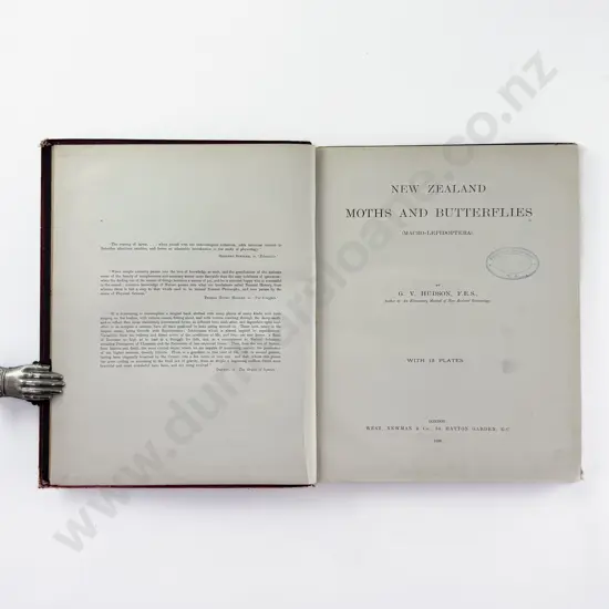 Hudson G V - New Zealand Moths And Butterflies