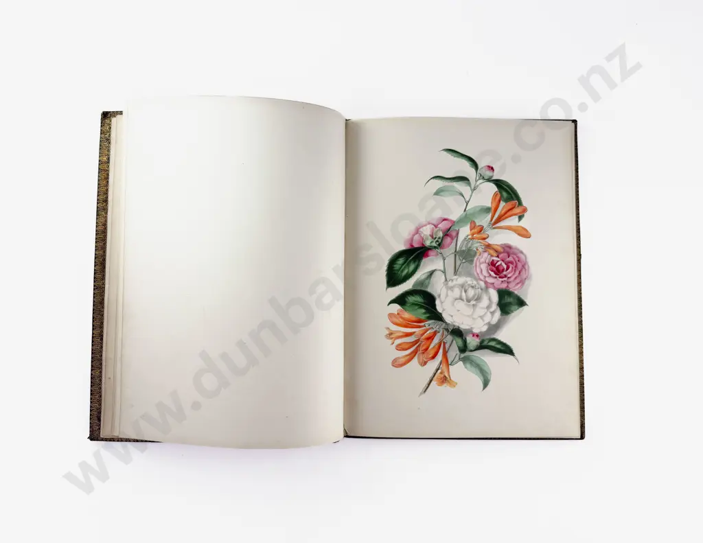 Badger Mrs C M - Floral Belles Image 1++