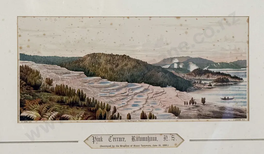 3 Antique NZ Chromolithographic Prints by A D Willis c1889 Image 1++
