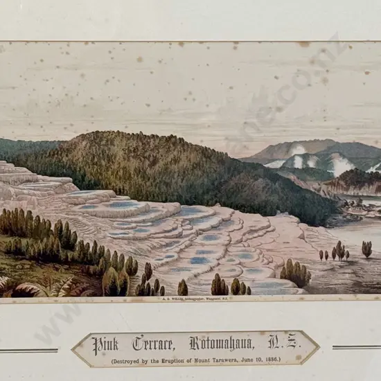 3 Antique NZ Chromolithographic Prints by A D Willis c1889