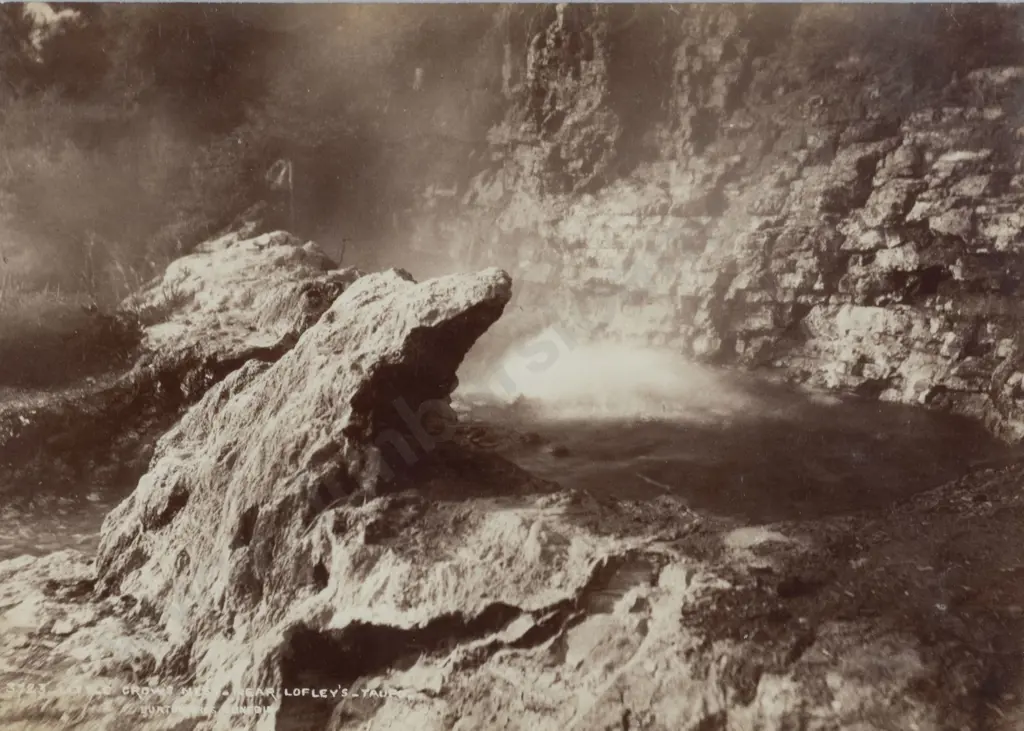 2 Vintage NZ Photographs Image 1++