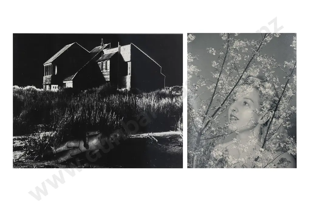 Casbolt, Frederick, Lennard, Abandoned No 1 & Spring, B & W Photographs Image 1++