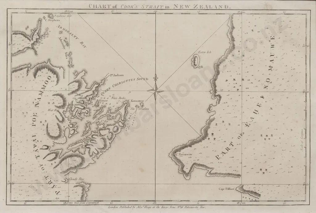 Chart of Cook's Strait in New Zealand Image 1++