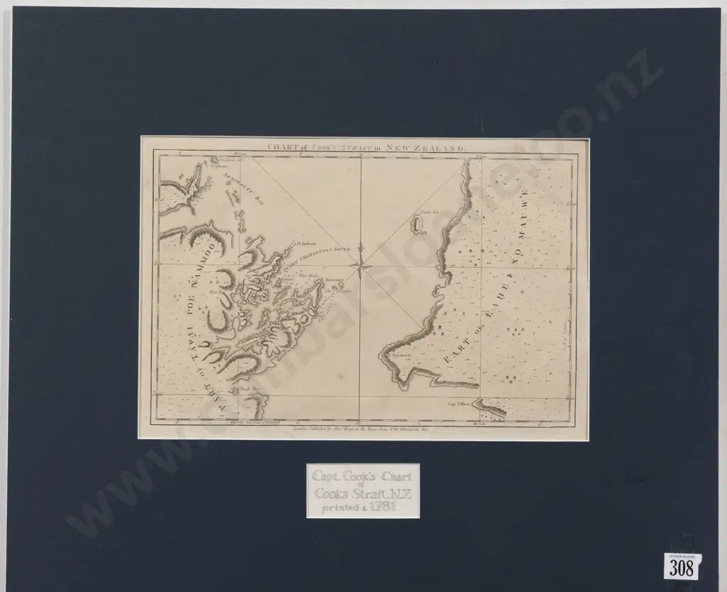 Chart of Cook's Strait in New Zealand Image 1++