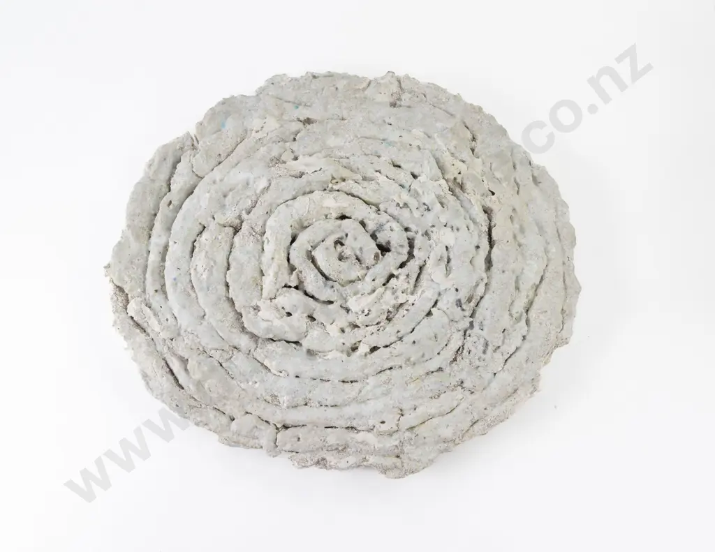 Christine Boswijk - Coastal Sculpture/Cloud Image 1++