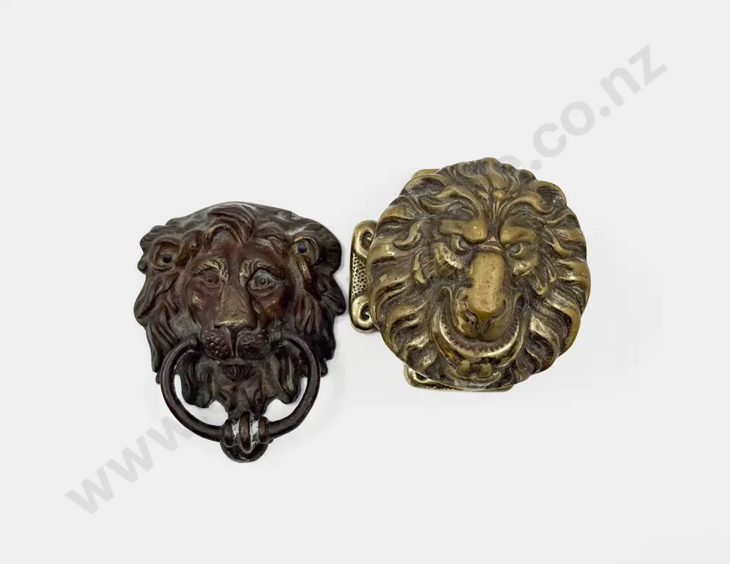 Brass Lion Form Door Handle & Lion Form Door Knocker Image 1++