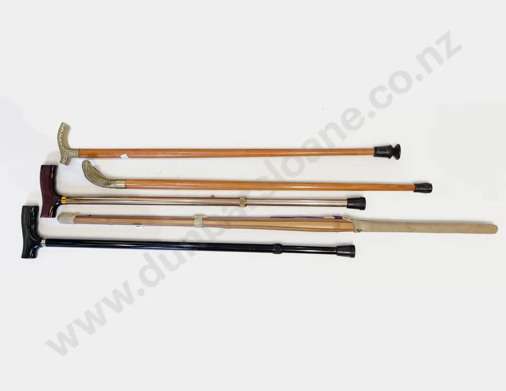 Quantity of Assorted Walking Sticks Image 1++
