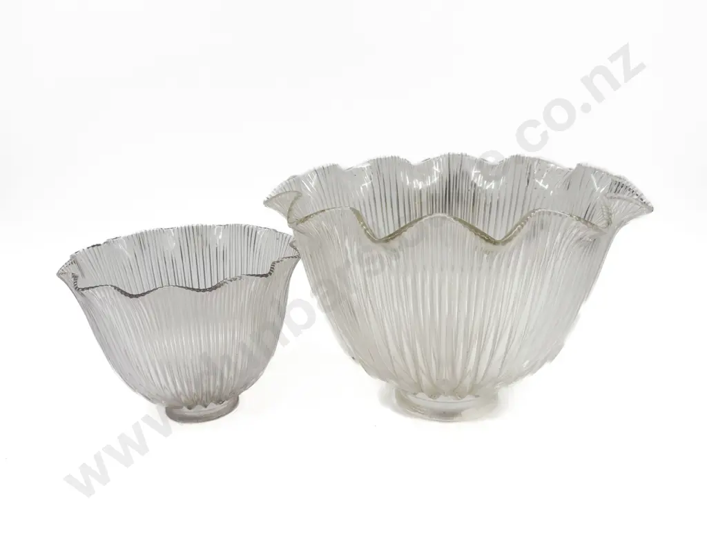 Two Fluted Glass Light Shades Image 1++