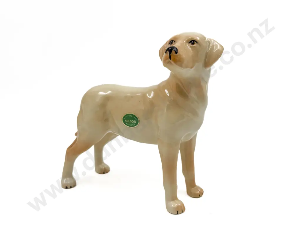 Staffordshire Figure of Labrador Image 1++
