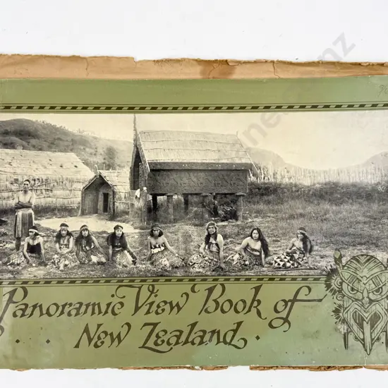 Panoramic View Book of New Zealand