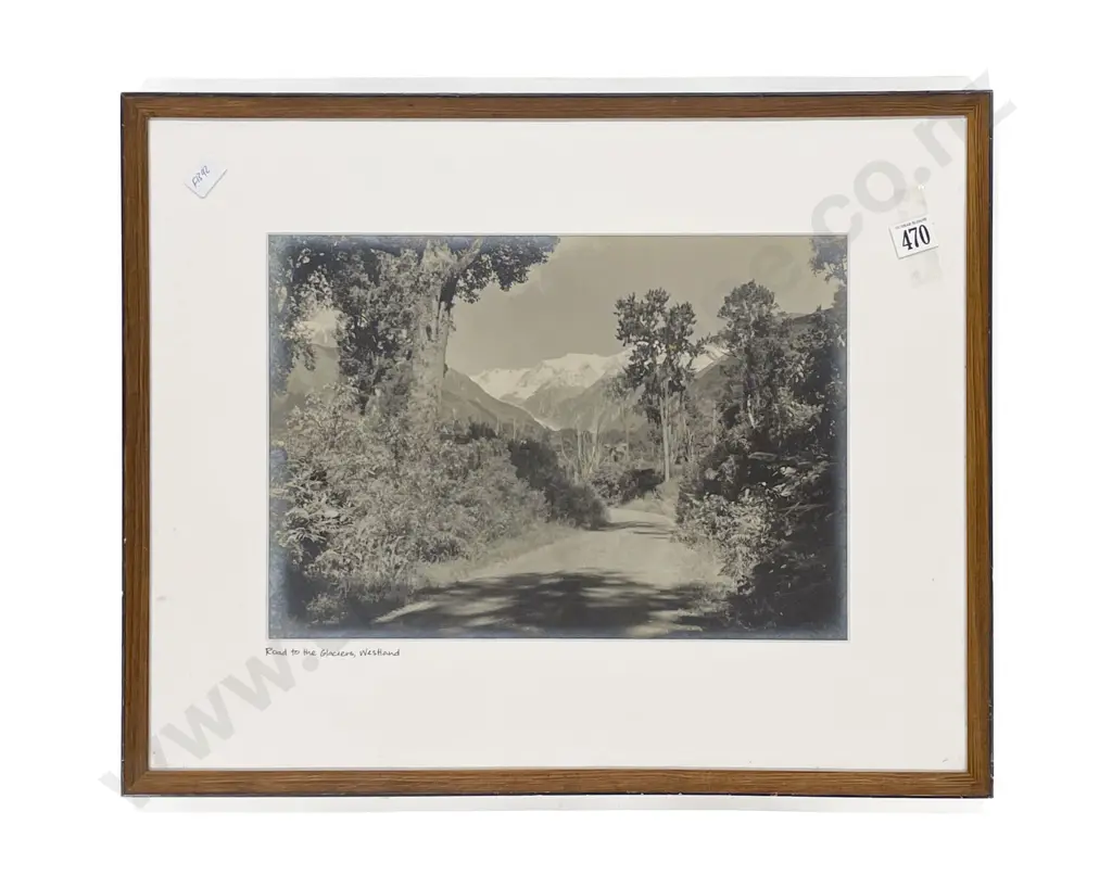 "Road to the Glaciers Westland" - Silver Gelatin Print Image 1++