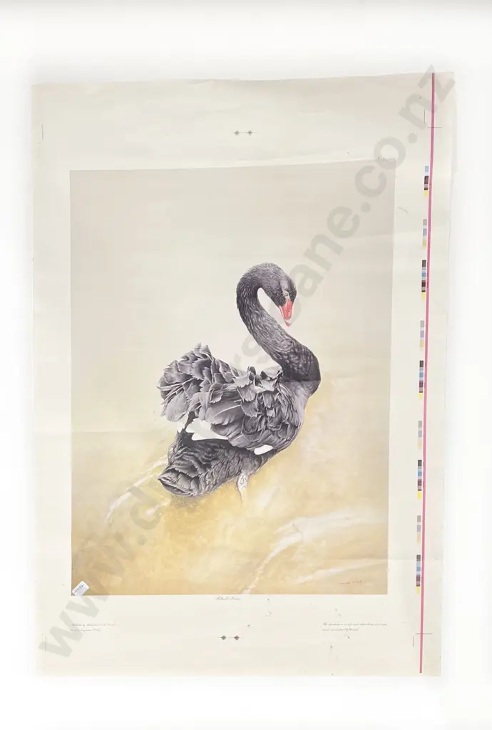 Raymond Ching - "Black Swan" - Ltd Edition Print of 850 Image 1++