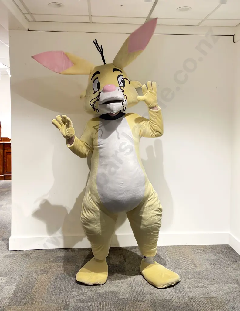 "Rabbit" Full body Costume Image 1++
