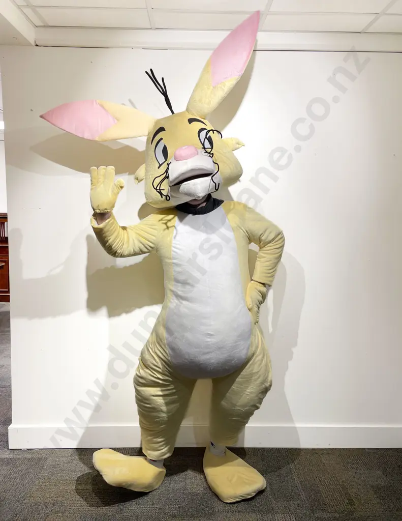 "Rabbit" Full body Costume Image 1++