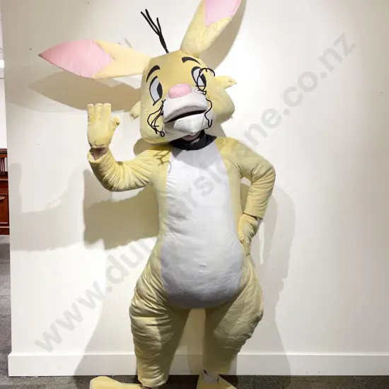 "Rabbit" Full body Costume