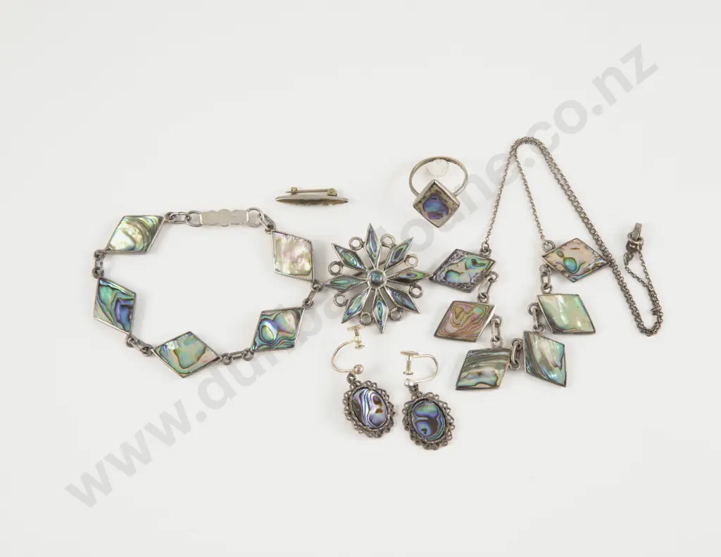 Collection of NZ S/S and Paua Jewellery Image 1++