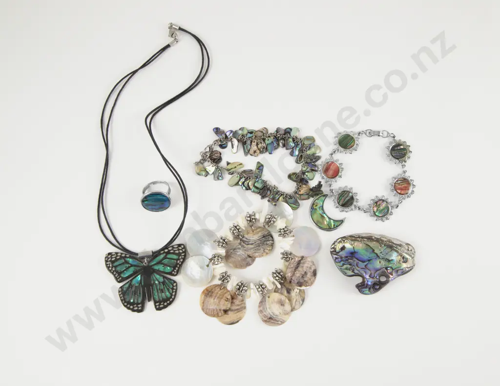 Collection of Assorted S/S Paua Jewellery Image 1++